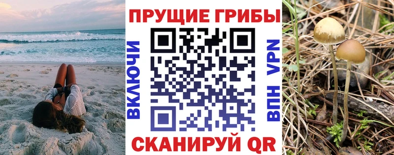 Галлюциногенные грибы GOLDEN TEACHER  Пласт 