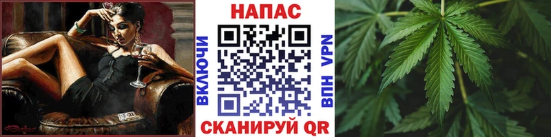 Канабис гибрид Пласт